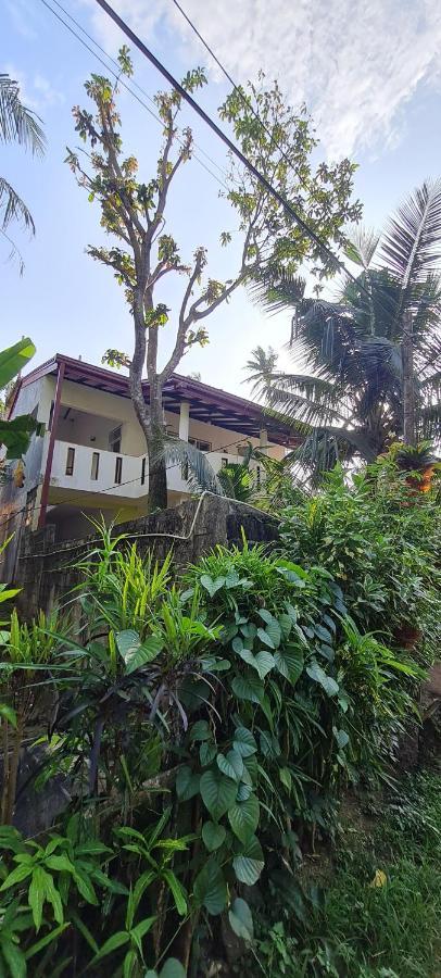 Wimala B&B 벤토타 외부 사진